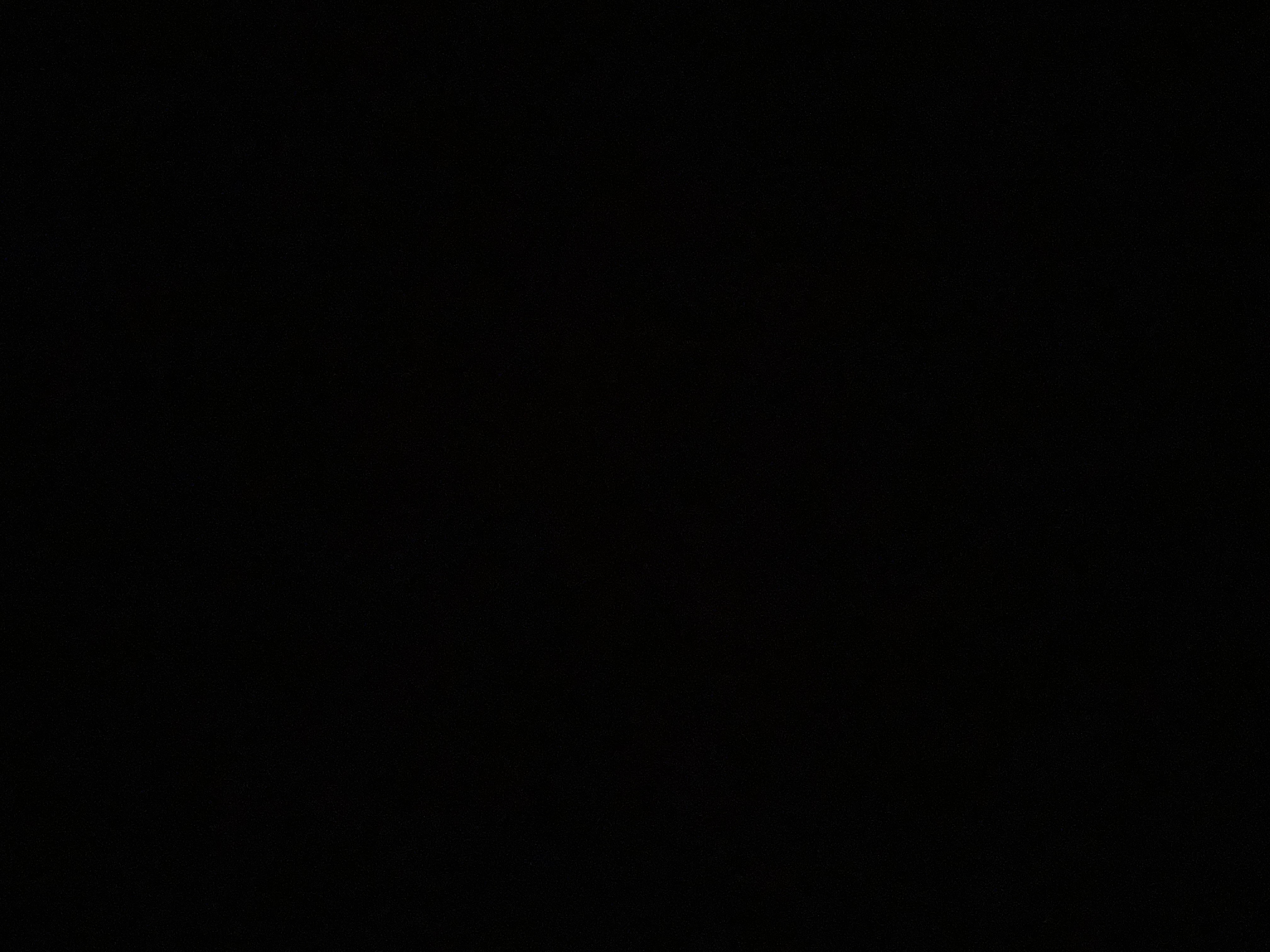 Large  Knotless braids